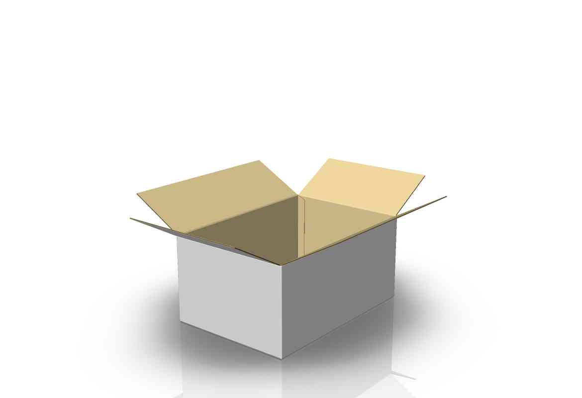 Cajas tipo RSC